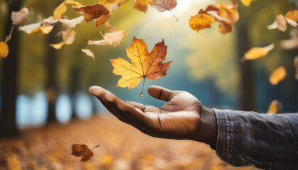 Hand lets go of autumn leaf, symbolizing transition, change, and letting go. Emotionally evocative image of fall season
