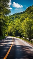 Fototapeta premium The road through the green forest