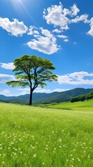 Fototapeta na wymiar Lonely Tree in a Vast Green Field