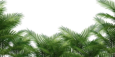 Fototapeta na wymiar Tropical frame with exotic jungle palm plants, palm leaves, and empty space for text, copy space transparent background. PNG, cutout, or clipping path. 