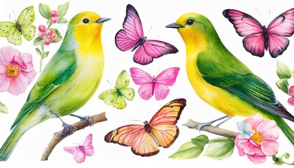 watercolor green and yellow birds and pink butterflies vintage set