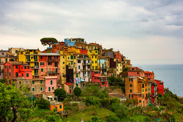 Colorful village of Corniglia upon a hill, Cinque Terre, Liguria,  Italy