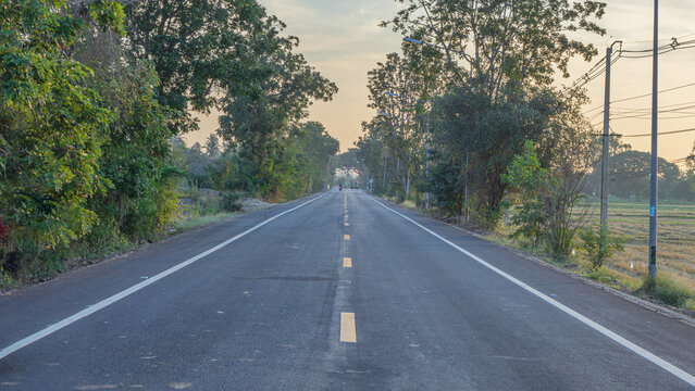 A picture of a two-lane rural highway in the morning. This road is well paved with asphalt. It stretches along the line of large trees, looking shady on both sides of the road.