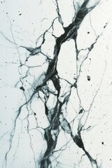 Black and white marble texture with veins