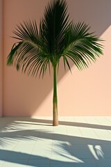 Single palm tree in front of pink wall with shadows on the floor