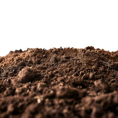 A Pile of Dirt