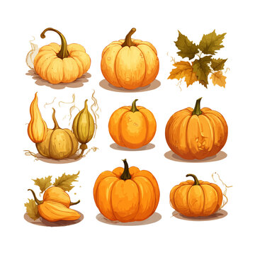Autumn harvest cartoon pumpkin illustration set