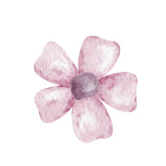 Fototapeta na wymiar Pink watercolor flower. Spring flower