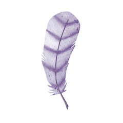 Purple watercolor feather on white background.