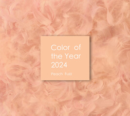 Trendy peach fur texture. Abstract apricot structure background. Color of the year 2024 Peach Fuzz. 3D Illustration