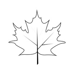 black white maple leaf	
