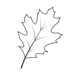 black white maple leaf	