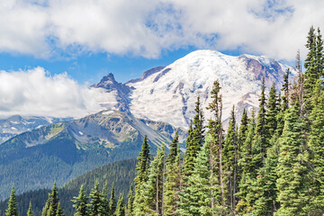 Snow-covered Mount Rainer and pine forest landscape Washington, USA