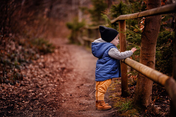 Young Child in Winter Clothing Exploring a Forest Pathway
