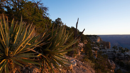 Grand Canyon