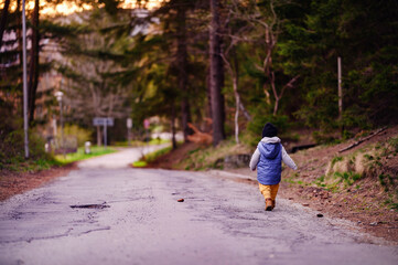 Fototapeta na wymiar Child Walking Alone on a Country Road Surrounded by Forest at Dusk