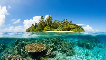 Fototapeten tropical island and coral reef split view with waterline © William