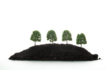 miniature trees in black earth - 737492037