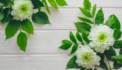 beautiful abstract color white and green flowers on white background and white flower frame and green leaves texture green background colorful white banner happy valentine - Powered by Adobe