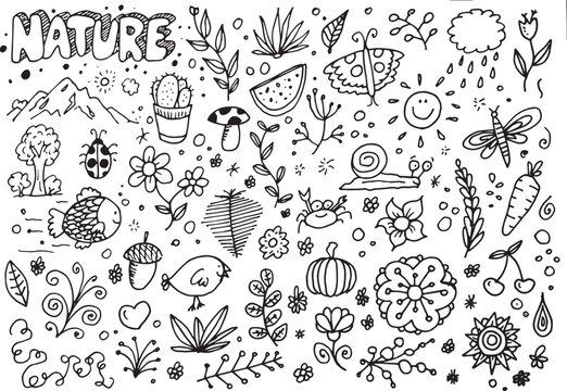 Nature doodles collection, hand drawn elements on white background