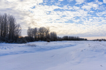 Fototapeta na wymiar Winter landscape with snowy river bank and bare trees