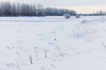 Minimal winter landscape with frozen grass, snowy field