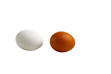 Two eggs, one white and one brown, isolated against a white background, symbolizing diversity and choice in simple, everyday items.