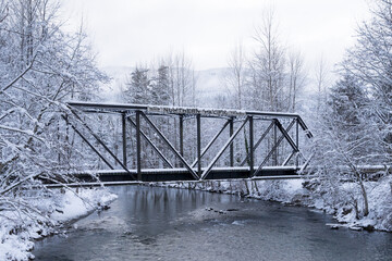 a large bridge over a river covered in snow near trees