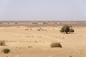 trip through Sahara desert in Morocco 