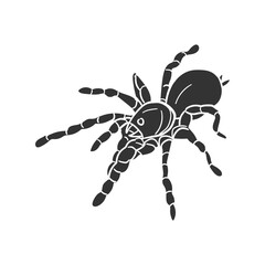 Tarantula Icon Silhouette Illustration. Spider Vector Graphic Pictogram Symbol Clip Art. Doodle Sketch Black Sign.