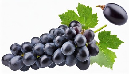 dark grape isolated black grape with leaves on white background grapes flying collection full depth of field - obrazy, fototapety, plakaty