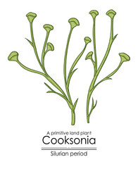 Cooksonia, a Silurian period primitive land plant, colorful illustration on a white background