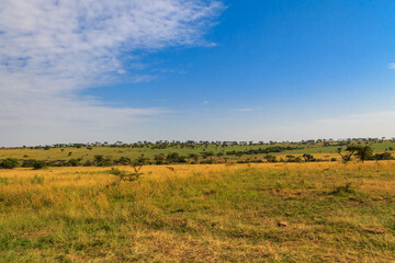 View of Serengeti national park, Tanzania