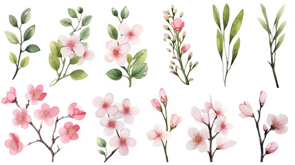 Watercolor set of cherry blossom, almond, sakura elements illustration on white background. Spring pink flowers and leaves. - obrazy, fototapety, plakaty