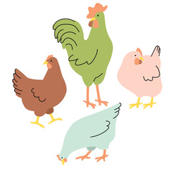 Farm chickens cartoon collection.Hens and rooster isolated on white background.Cute animals set for use in card,banner,flyer,sticker,pattern.Colored print on fabric and paper.Vector flat illustration.