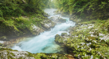 Fluss Radovna, Vintgar Klamm, Slowenien, Europa