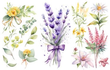 Fototapeta na wymiar Set watercolor wild flowers, leaves and grass. Collection botanic garden elements. Illustration in vintage style