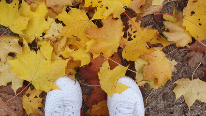 Girl stay with white shoes on yellow, orange leaves in the garden and much autumn trees near the...