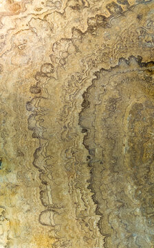 Fossilized proterozoic stromatolite
