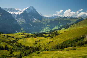 Fototapeta na wymiar Eiger von Alp Grindel, Grindelwald, Berner Oberland, Schweiz