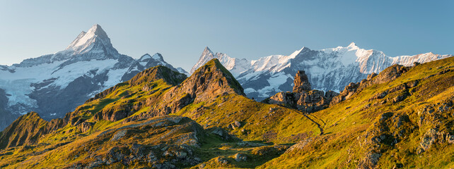 Spitzen, Schreckhorn, Grindelwald, Berner Oberland, Schweiz