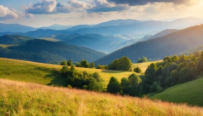 carpathian countryside scenery in late summer grassy pastures on the rolling hills of mountainous landscape sunning view in evening light - obrazy, fototapety, plakaty