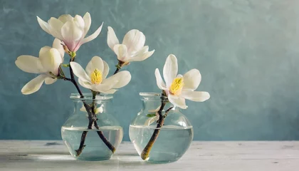 Zelfklevend Fotobehang still life of magnolia flowers in small clear glass vases soft muted background color flowers are white with yellow on table top soft washed out pastel light blue wall color © Makayla
