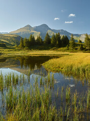 Schwarzhorn, Große Scheidegg, Grindelwald, Berner Oberland, Schweiz
