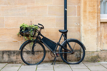 Old, vintage rusty bicycle with basket full of plants against old stone wall.