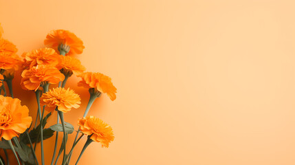 orange marigold flowers on pastel colored orange background