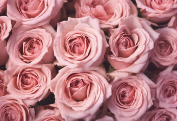 Pastel pink roses bouquet Beautiful flower arrangement for your design