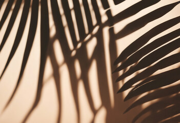 Palm leaf shadow on orange wall Creative wallpaper of light and shadow concept