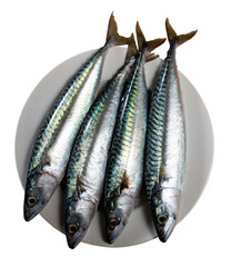 Atlantic mackerel fish served raw to table. Isolated over white background