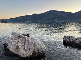 Palm trees, silver sunset sea, romantic sunset, look like pineapples, Montenegro Kindness Mountains Sea Walk Adventure Tourism attraction